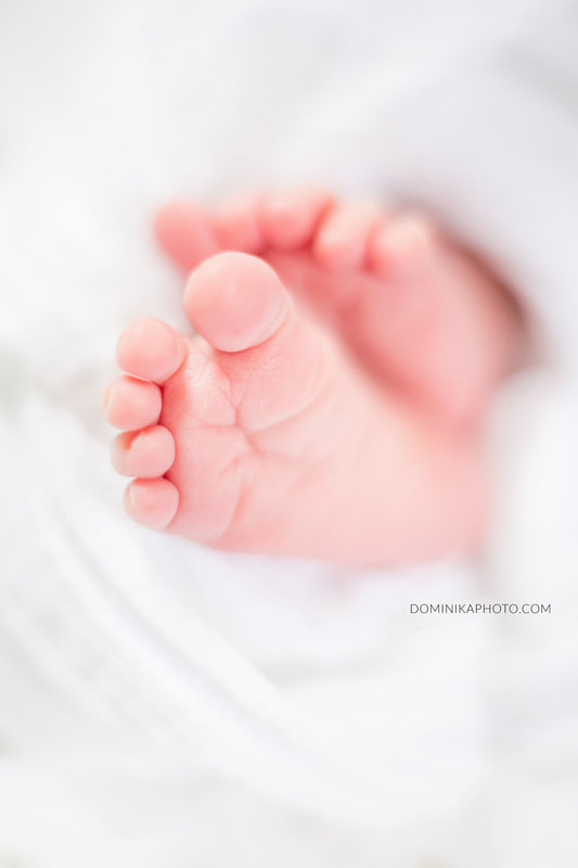Milwaukee newborn photography 