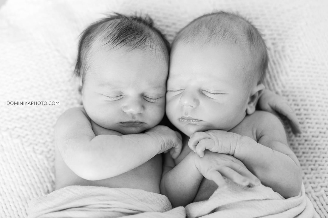 Milwaukee newborn photographer twins