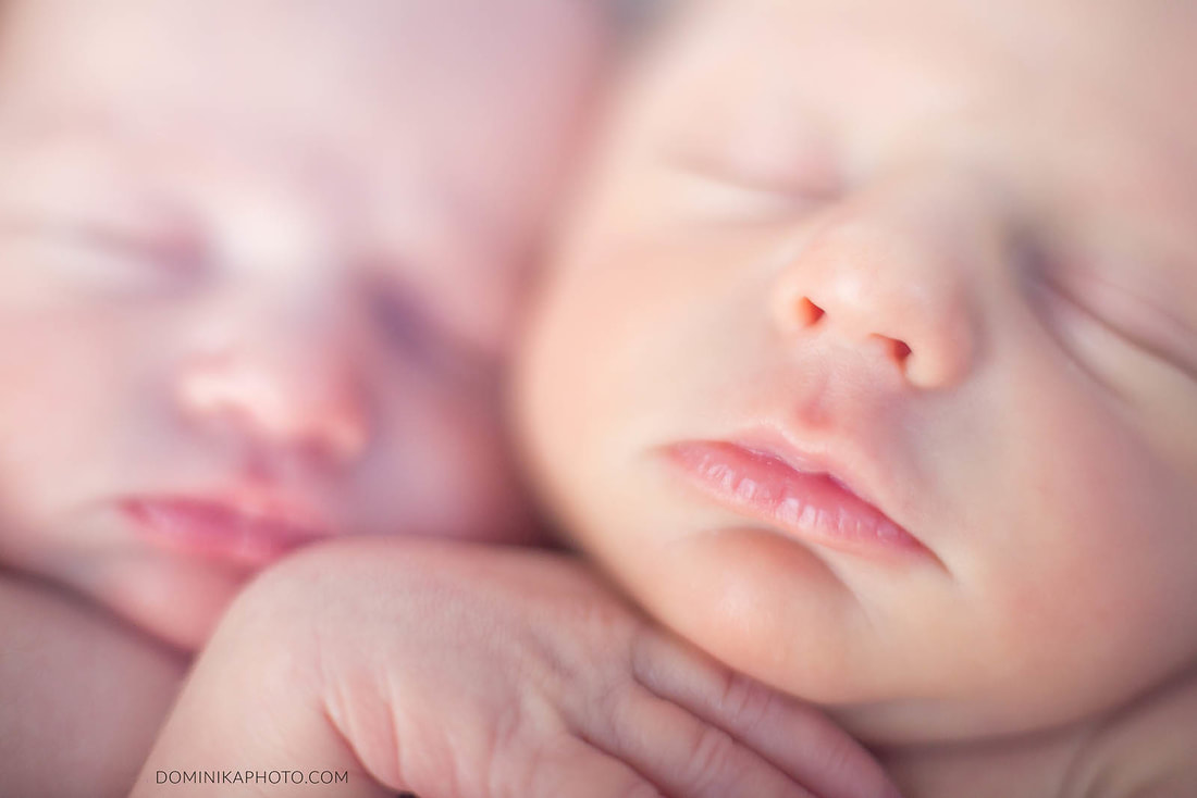 Milwaukee newborn photographer twins
