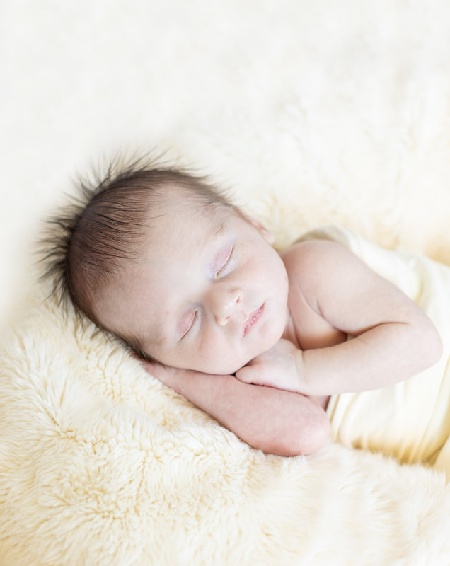 Milwaukee At-Home Newborn Photography 