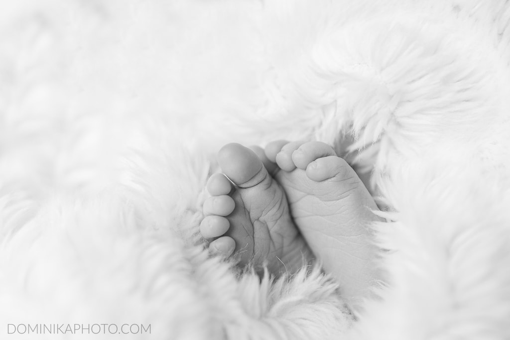 Mequon At Home Newborn Photography Dominika Photo 