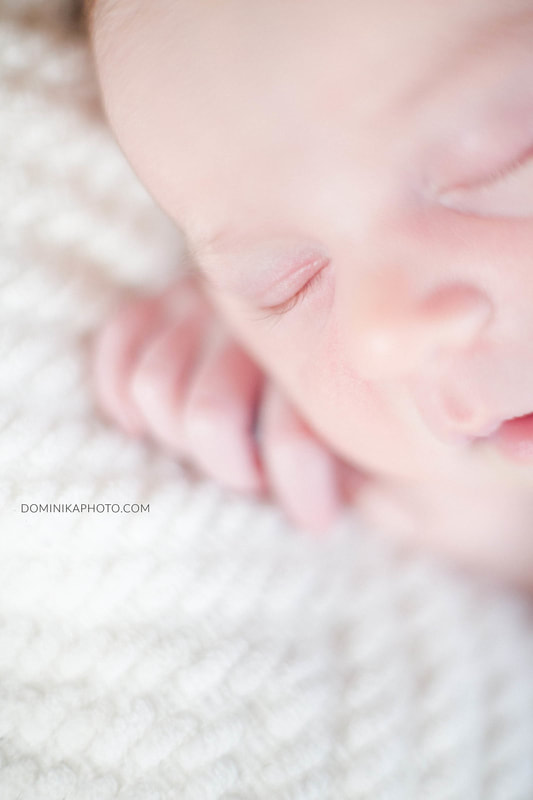 Milwaukee Newborn Photography Photographer 